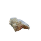 Blue lace agate raw geode, rear view of rough tan and grey host rock