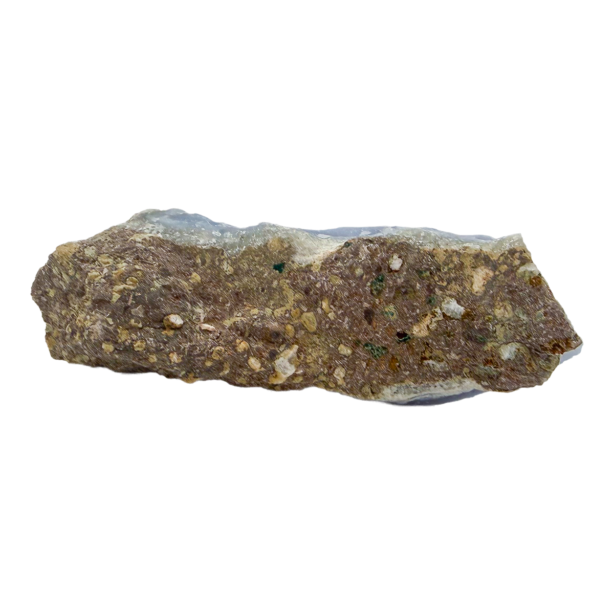 Blue lace agate raw geode, rear view of rough tan and gray host rock