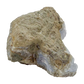 Blue lace agate raw geode, rear view of rough tan and gray host rock