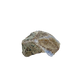 Blue lace agate raw geode, side view showing natural cavity and druzy