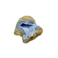Blue lace agate raw geode, side view showing natural cavity and druzy