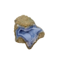 Blue lace agate raw geode, close view of druzy crystal texture