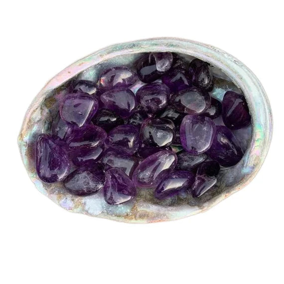 Scale reference of one Amethyst tumbled stone for scale, from Rio Grande do Sul, Brazil.