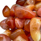 Hand-scale shot of a single Carnelian tumbled stone hand-selected from Francistown, Botswana.