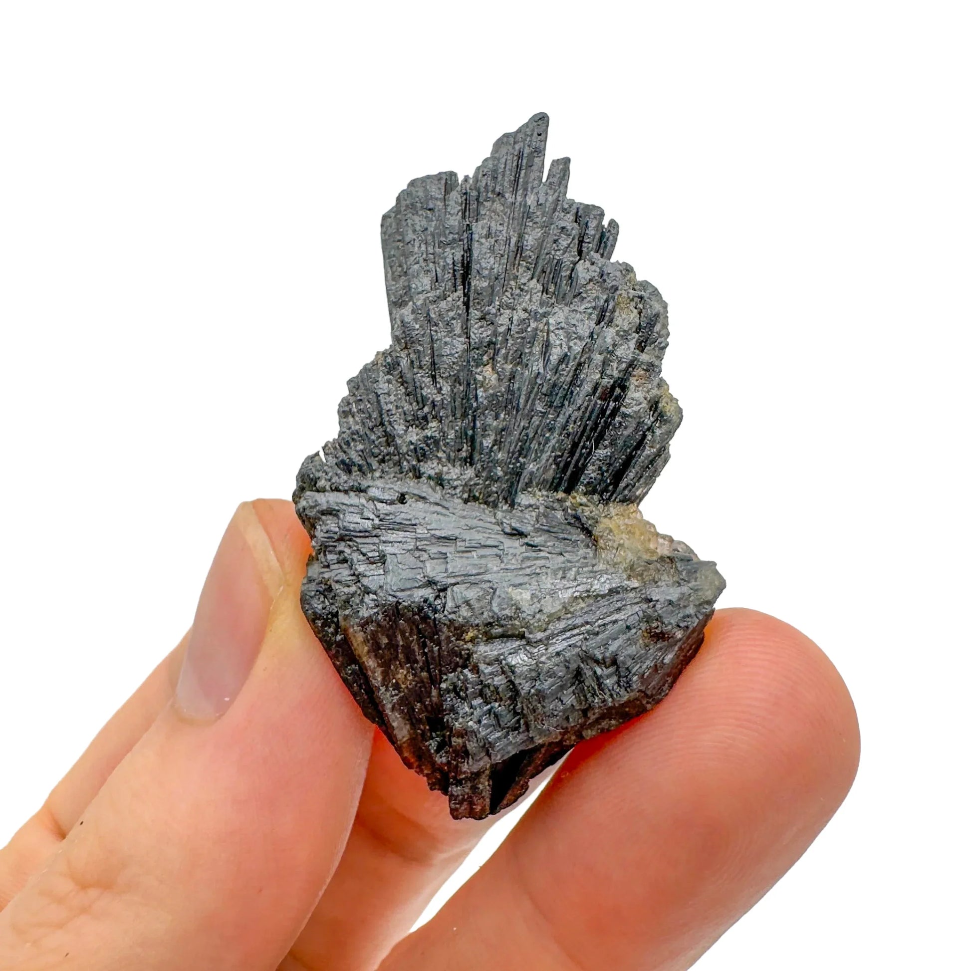 Detail shot of Grade A Black Kyanite raw under natural light
