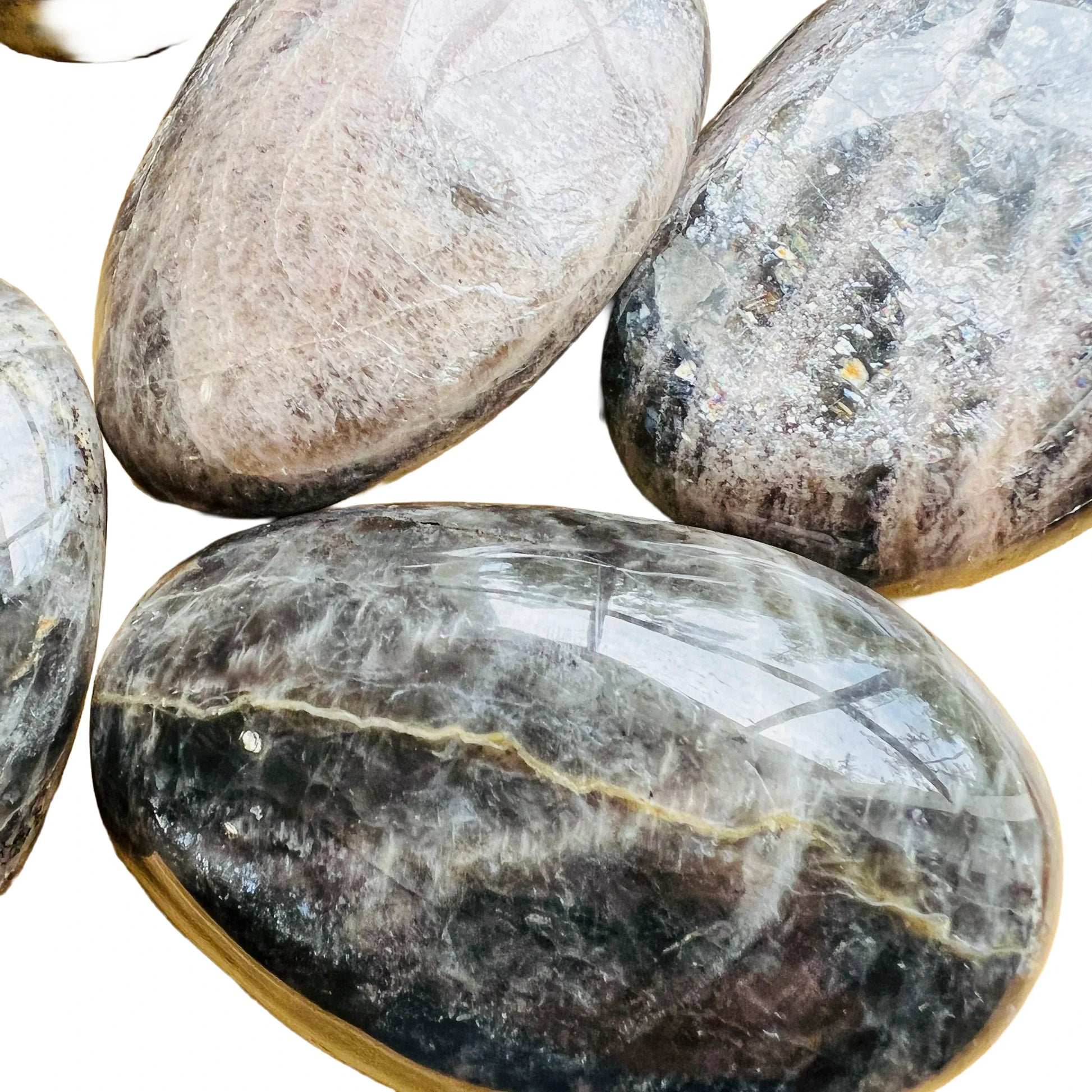 Aerial view of Black Moonstone palm stone, sourced from Amoron'i Mania, Madagascar.
