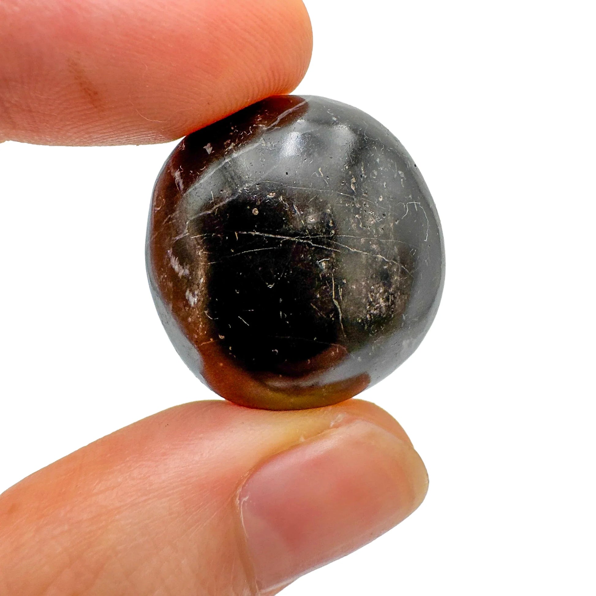 Display context of Black Onyx tumbled stone, from Ancash, Peru, showing the wear and finish.