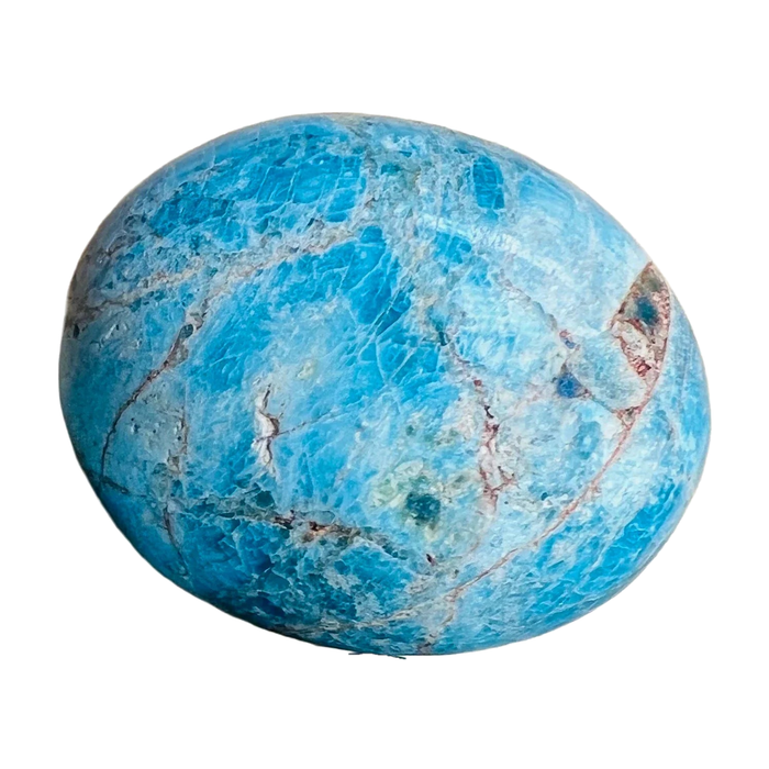 Blue Apatite Palm Stones, A Grade, Madagascar: one representative stone on a white background