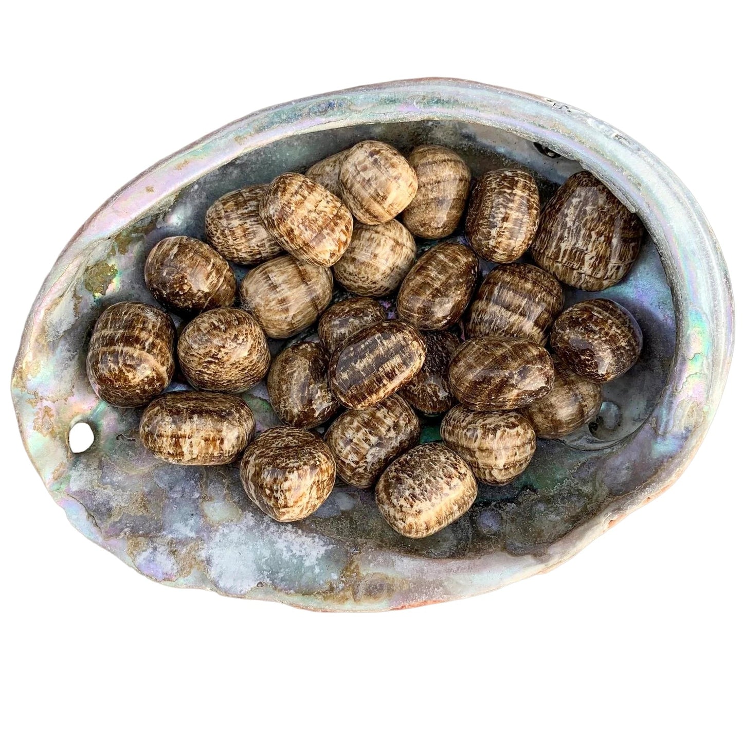 Size comparison with a Brown Aragonite tumbled stone held against natural backdrop.