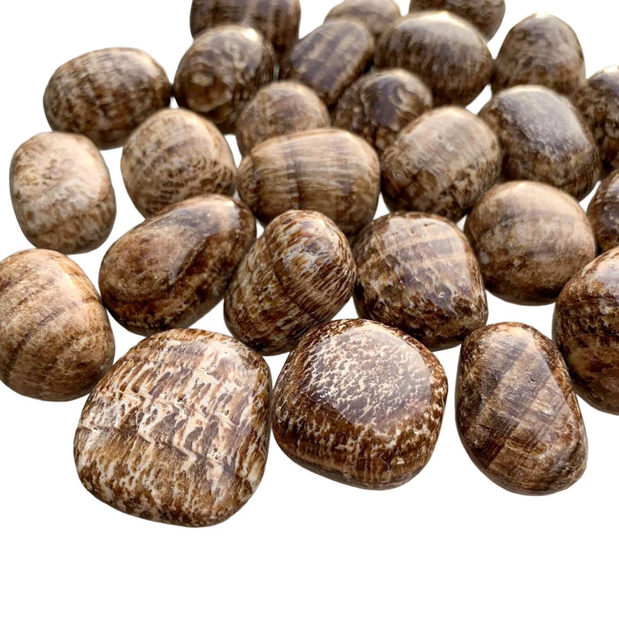 Full profile of Grade AA Brown Aragonite tumbled stone ready to ship from Beyond Bohemian