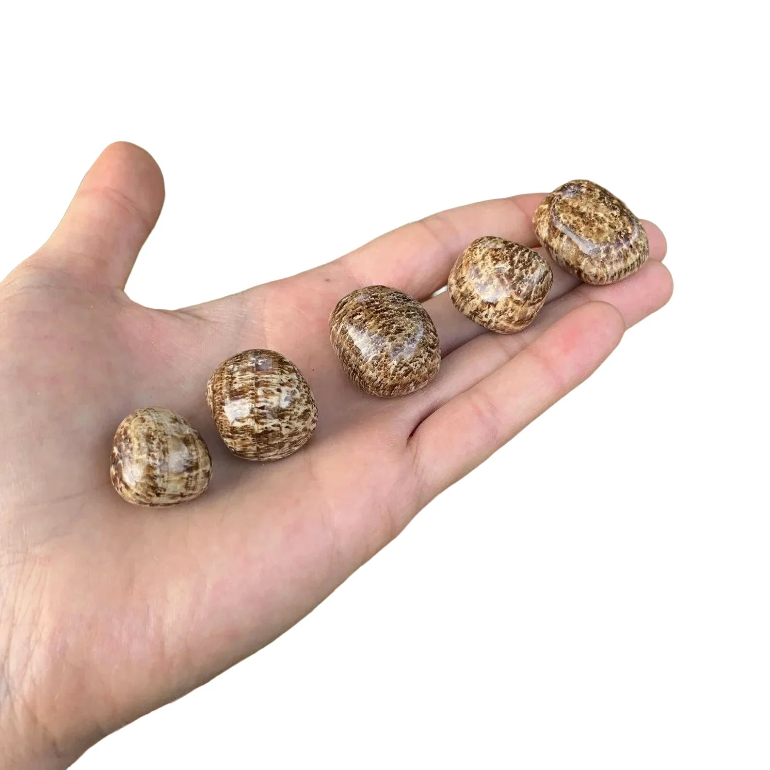 Full profile of Grade AA Brown Aragonite tumbled stone ready to ship from Beyond Bohemian