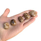 Full profile of Grade AA Brown Aragonite tumbled stone ready to ship from Beyond Bohemian