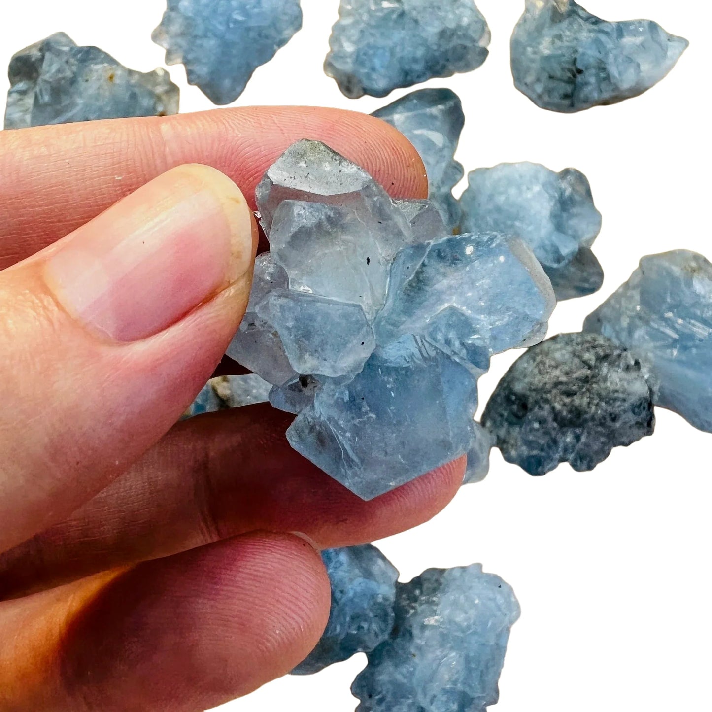 Full piece view of Celestite raw crystal, from Sakoany, Madagascar, with character of the piece on display.