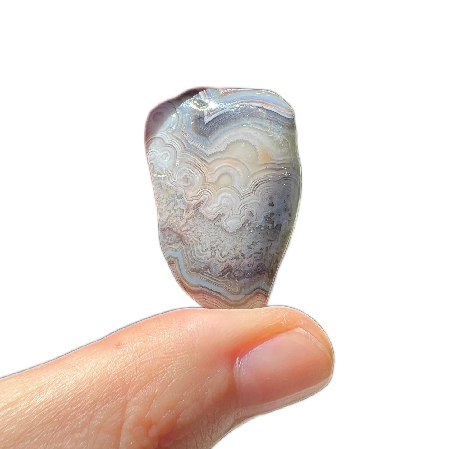 Quiet study of Crazy Lace Agate tumbled stone, from Chihuahua, Mexico, captured in soft, even lighting.