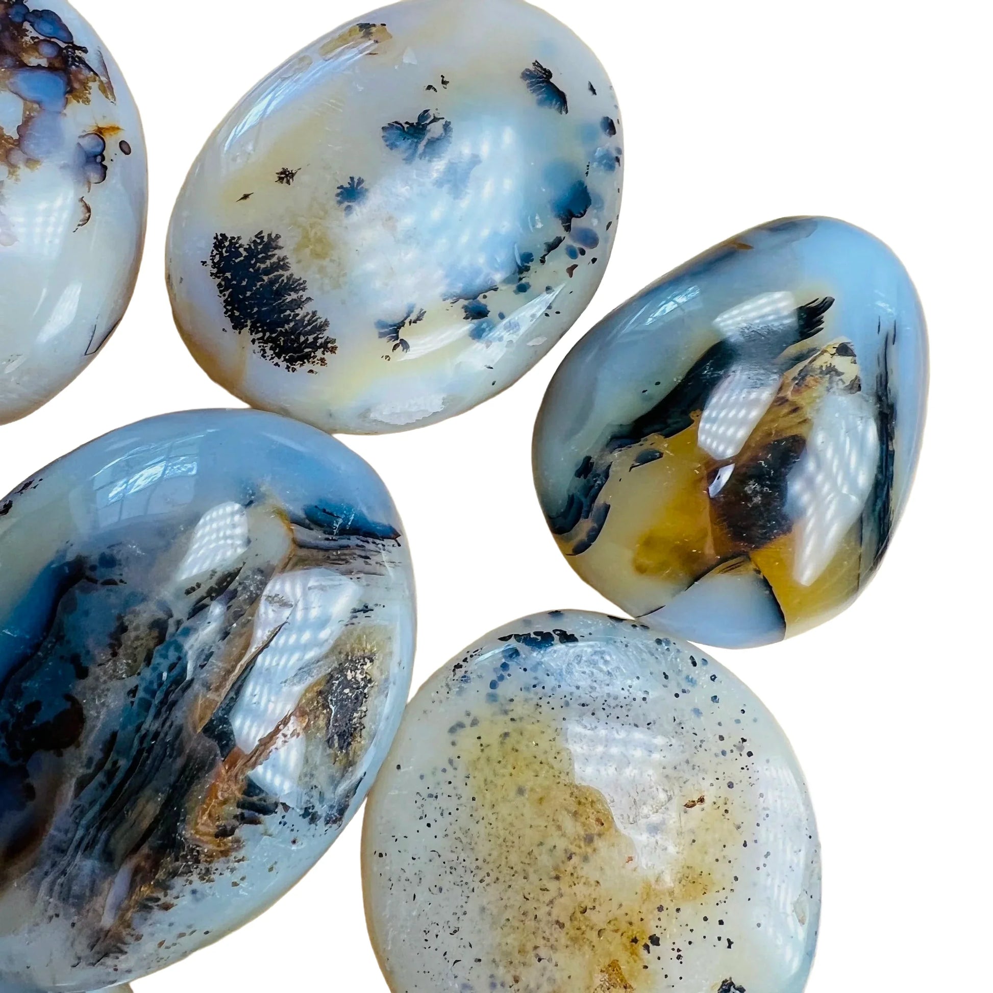 Opposite side of Dendritic Agate palm stone, sourced from Boeny, Madagascar, showing subtle veining.
