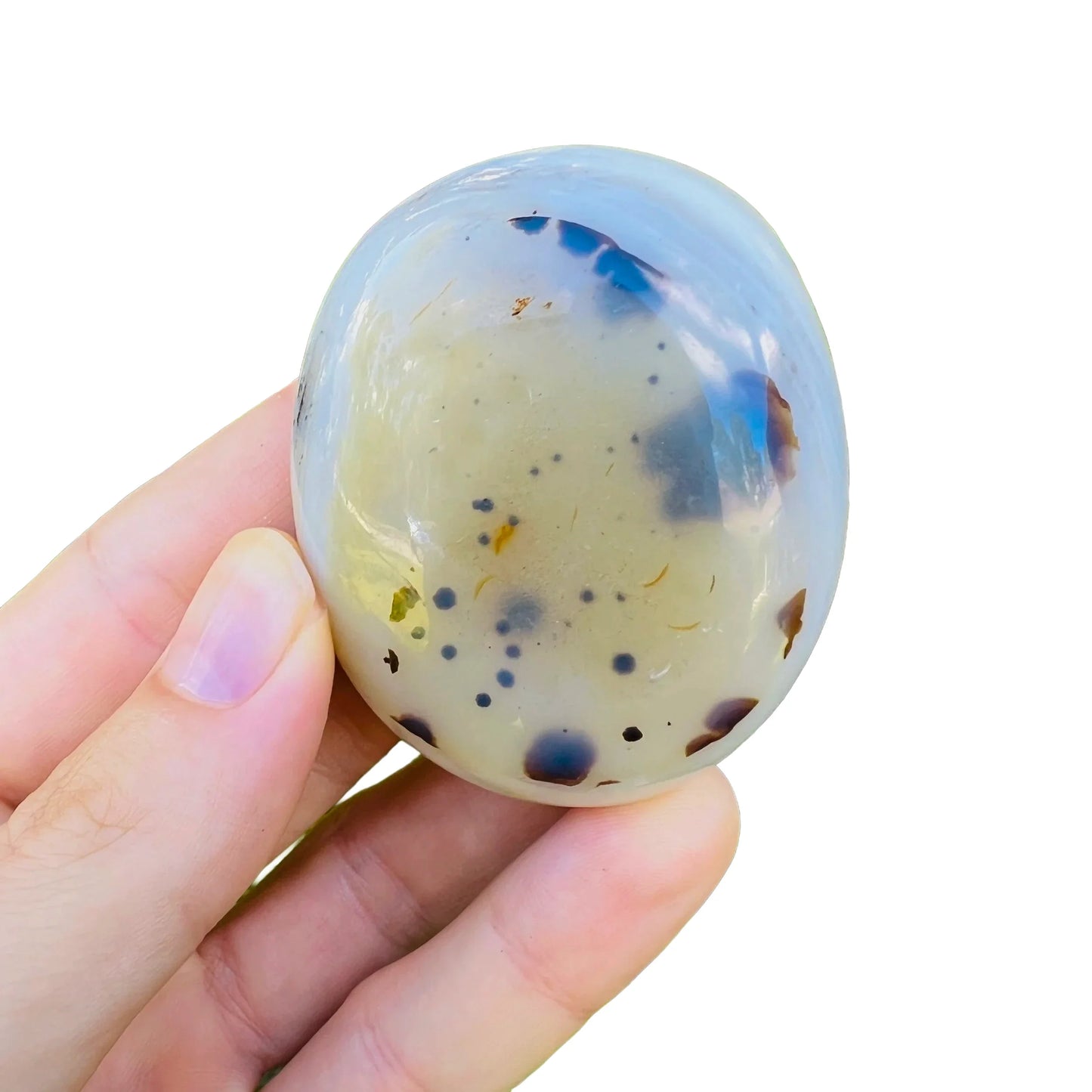 Size comparison with a Dendritic Agate palm stone traditionally used for Grounding and Healing.