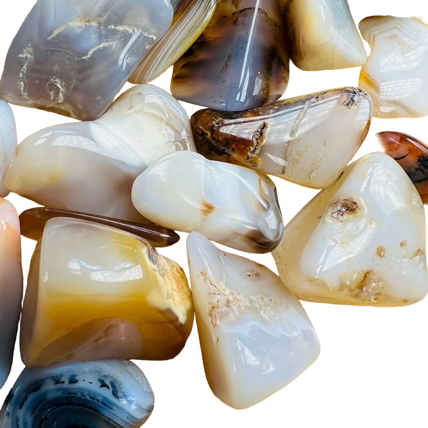 Detail capture of Dendritic Agate tumbled stone, showing natural variation.