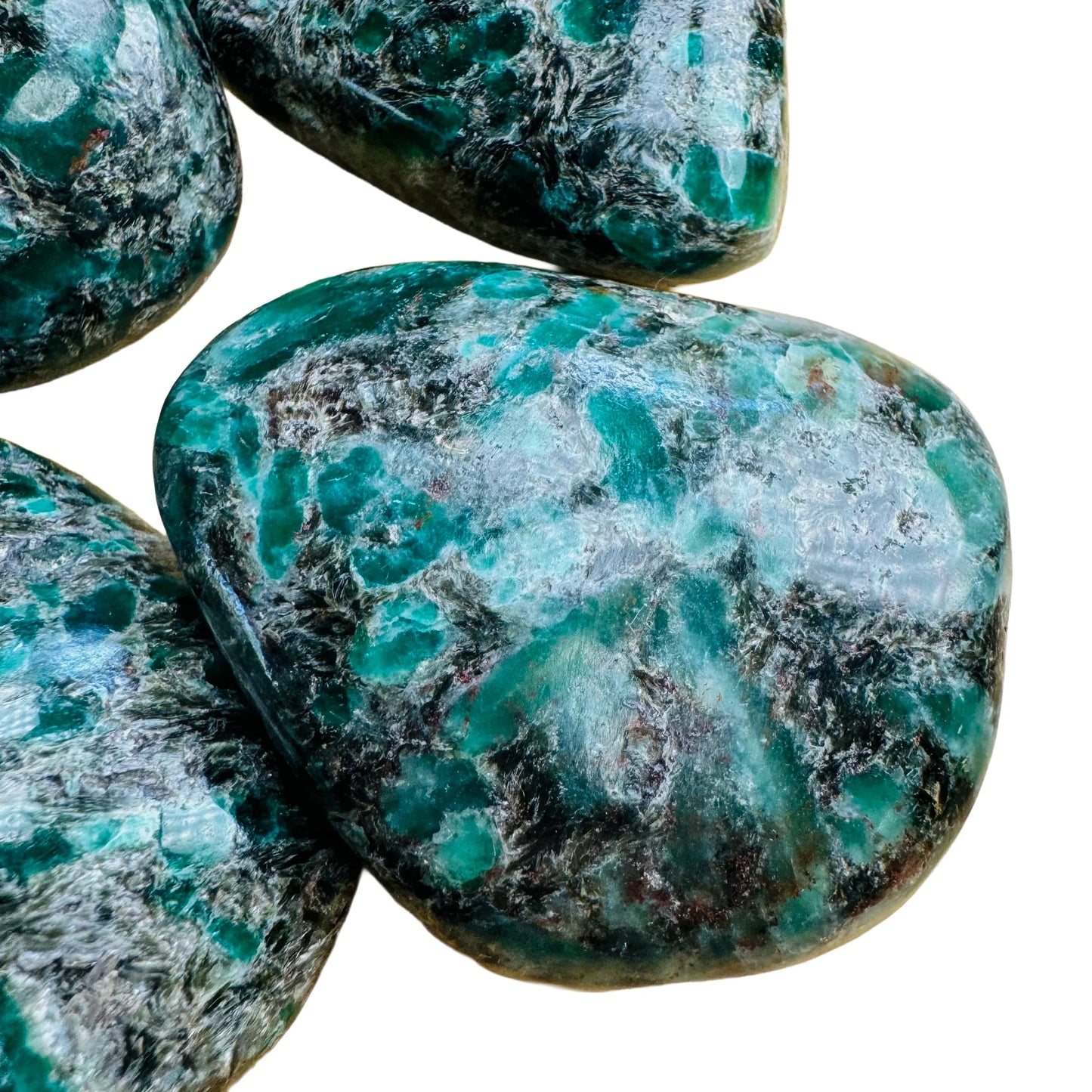 Daylight view of a Emerald palm stone held against natural backdrop.