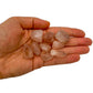 Palm-scale view of a single Fire Quartz tumbled stone hand-selected from Alaotra-Mangoro, Madagascar.