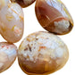 Sideways view of pink Flower Agate palm stone, from Madagascar.