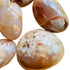 Sideways view of pink Flower Agate palm stone, from Madagascar.