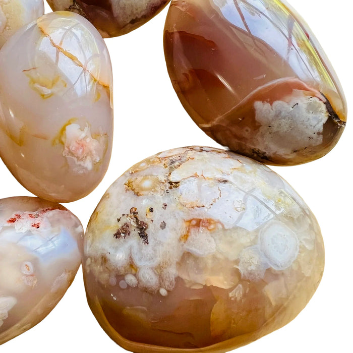 Sideways view of pink Flower Agate palm stone, from Madagascar.