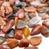 Petrified wood polished chips in hand showing size reference, fossilized Madagascar material