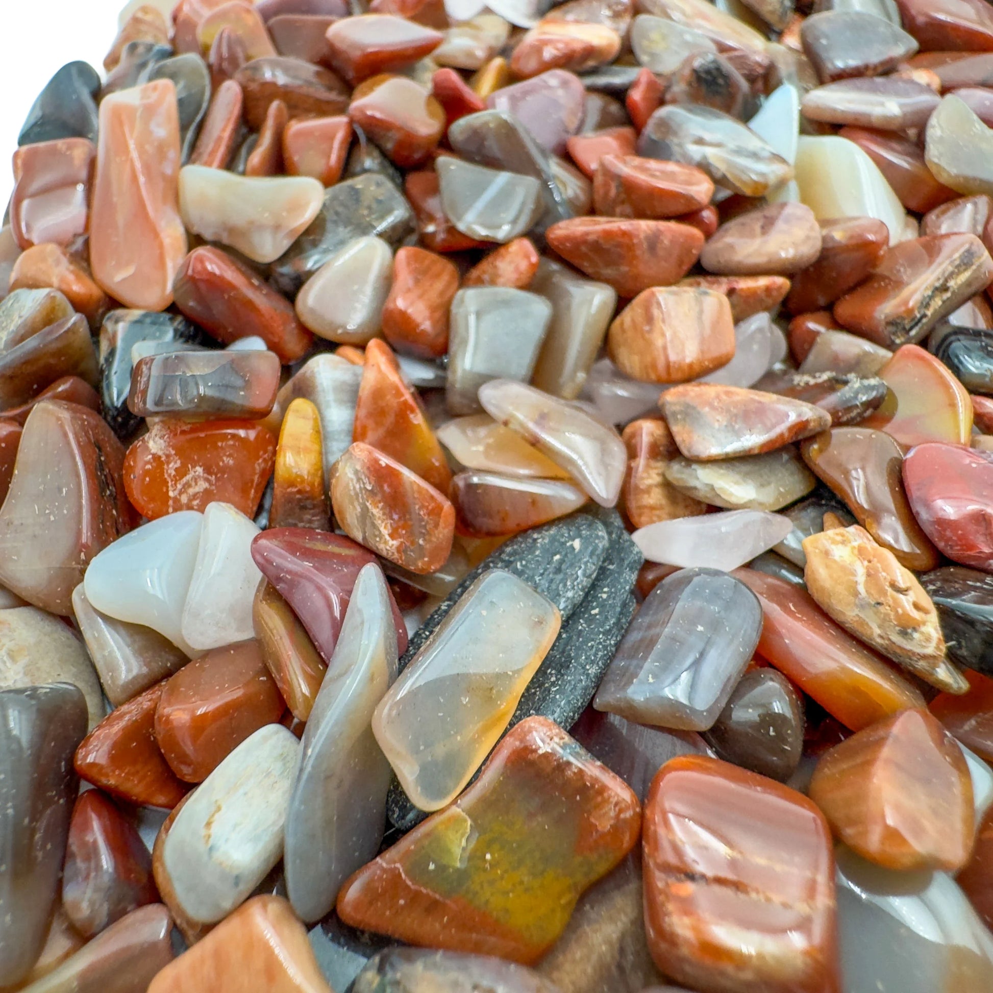 Petrified wood chips scattered on surface, ethically sourced Madagascar fossil wood