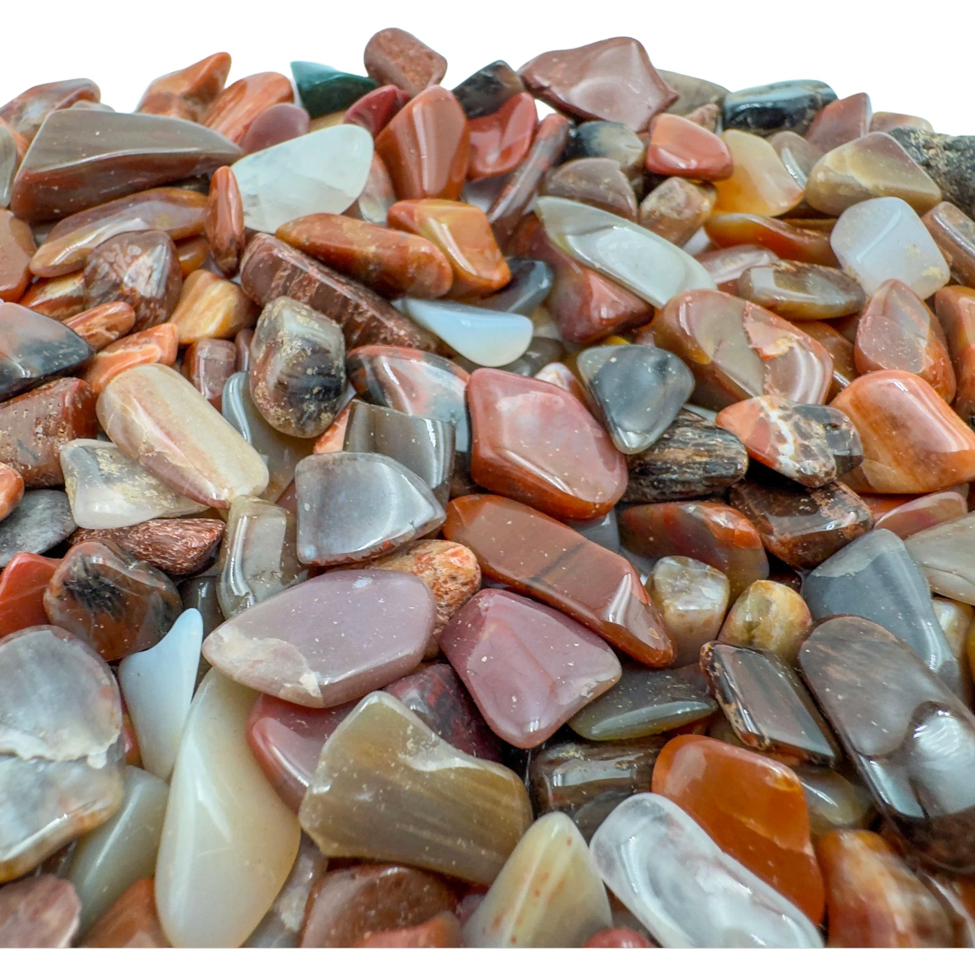 Petrified wood crystal chips product shot, Grade A Madagascar material showing quantity and texture