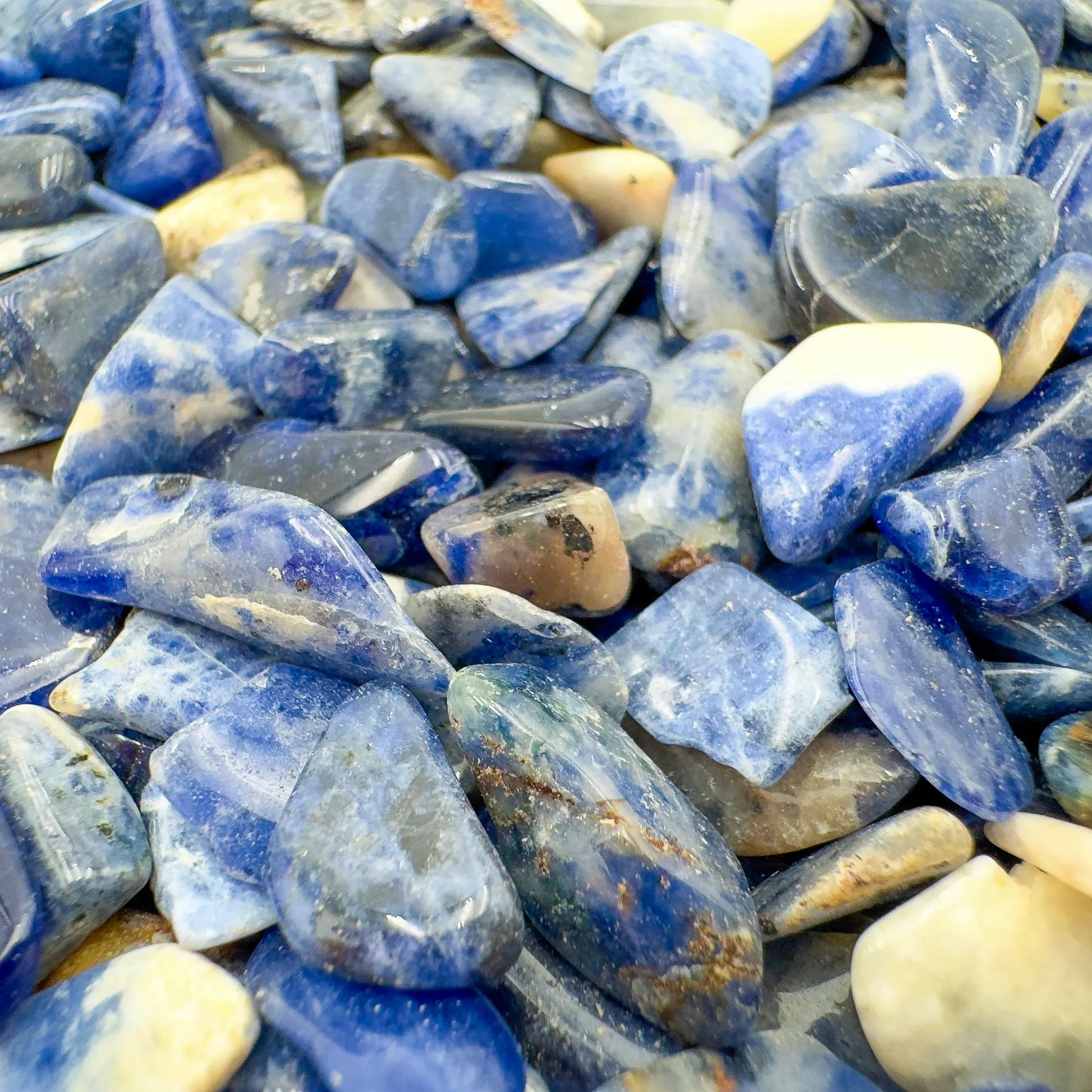 Detail of Sodalite polished chip, from Namibia, carried for Focus.