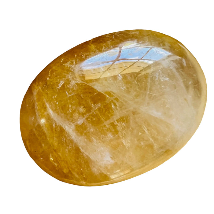 Texture-level view of Golden Healer palm stone, showing characteristic finish, from Alaotra-Mangoro, Madagascar.