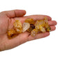 Hand holding small Golden Healer Quartz raw crystals 5-10 grams Brazil scale reference