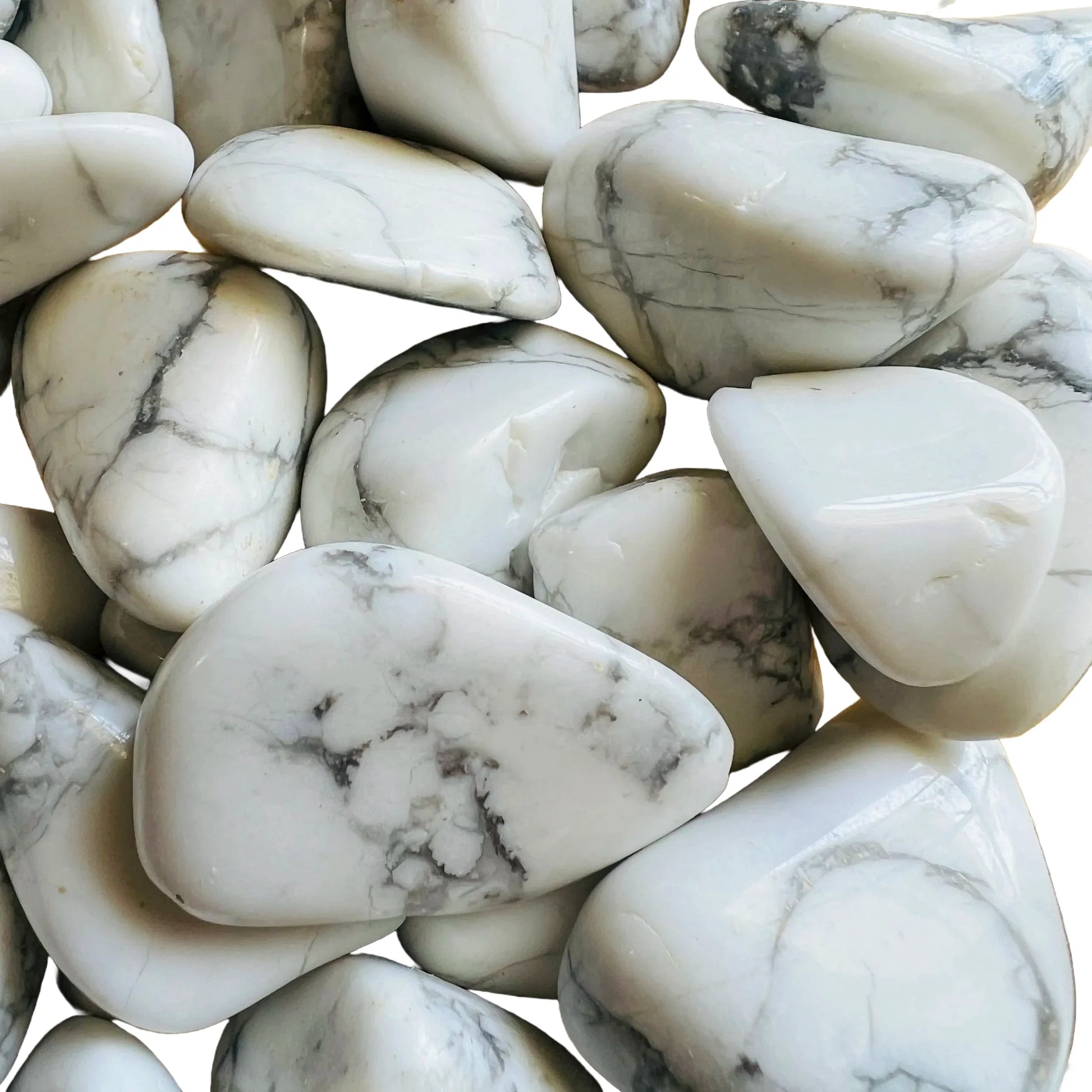 Size comparison with a single Howlite tumbled stone hand-selected from Masvingo, Zimbabwe.
