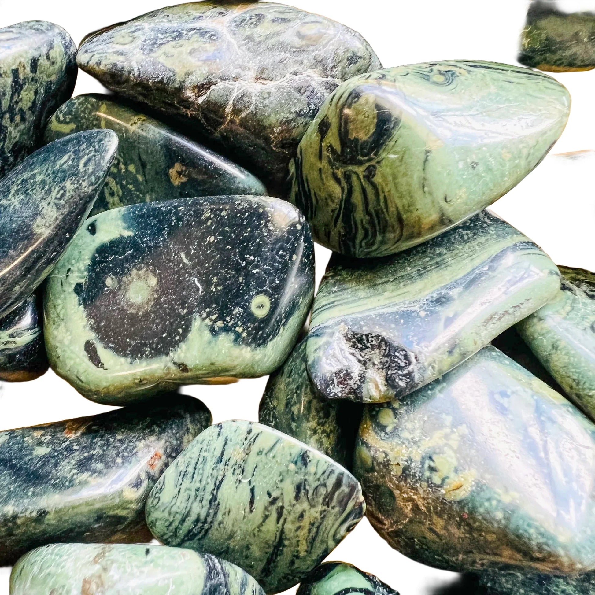 Plan view of Grade AA Kambaba Jasper tumbled stone, showing soft luster.