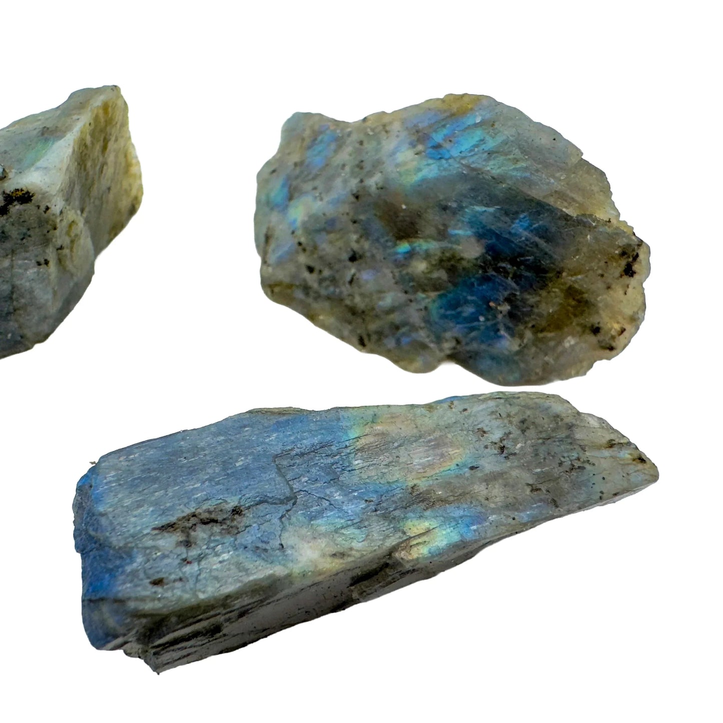 Scale reference of a Labradorite raw stone held against natural backdrop.