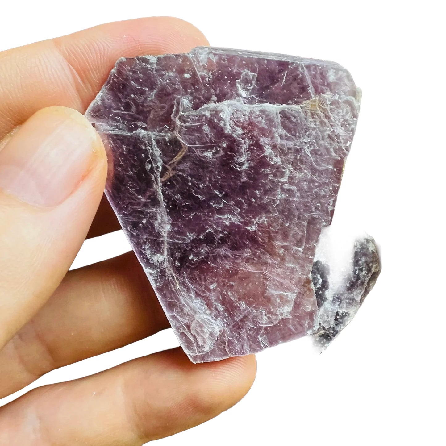 Grade aa lepidolite raw held in hand for size reference