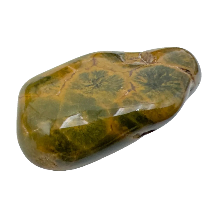 Ocean Jasper Tumbled Stones, AA Grade, Madagascar: one representative stone on a white background