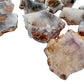 Edge view of Patagonia Agate raw stone, showing characteristic color.