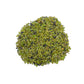 Tight crop of Peridot raw stone, United States-sourced.