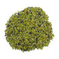 Tight crop of Peridot raw stone, United States-sourced.