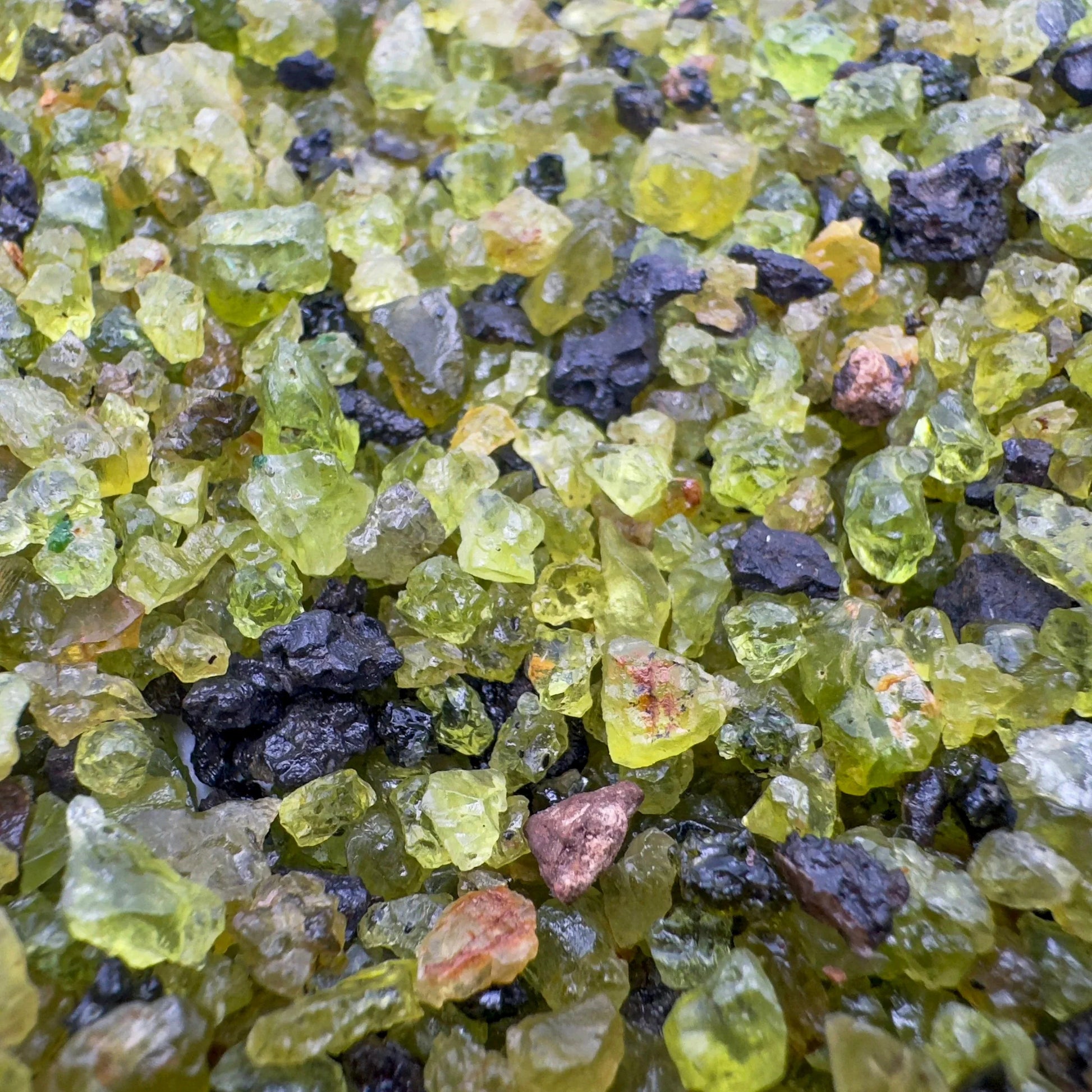Size comparison with one Peridot raw stone for scale, United States-sourced.
