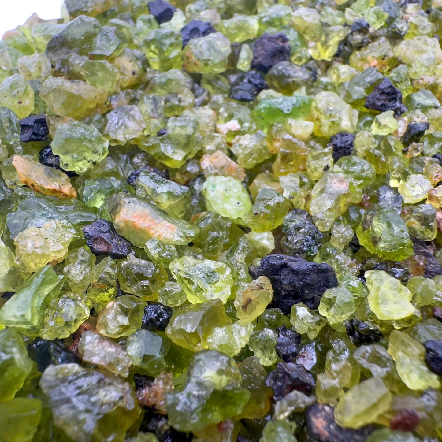 Lifestyle still of Peridot raw crystal, from San Carlos Apache Reservation, Arizona, United States, showing the full body of the piece.