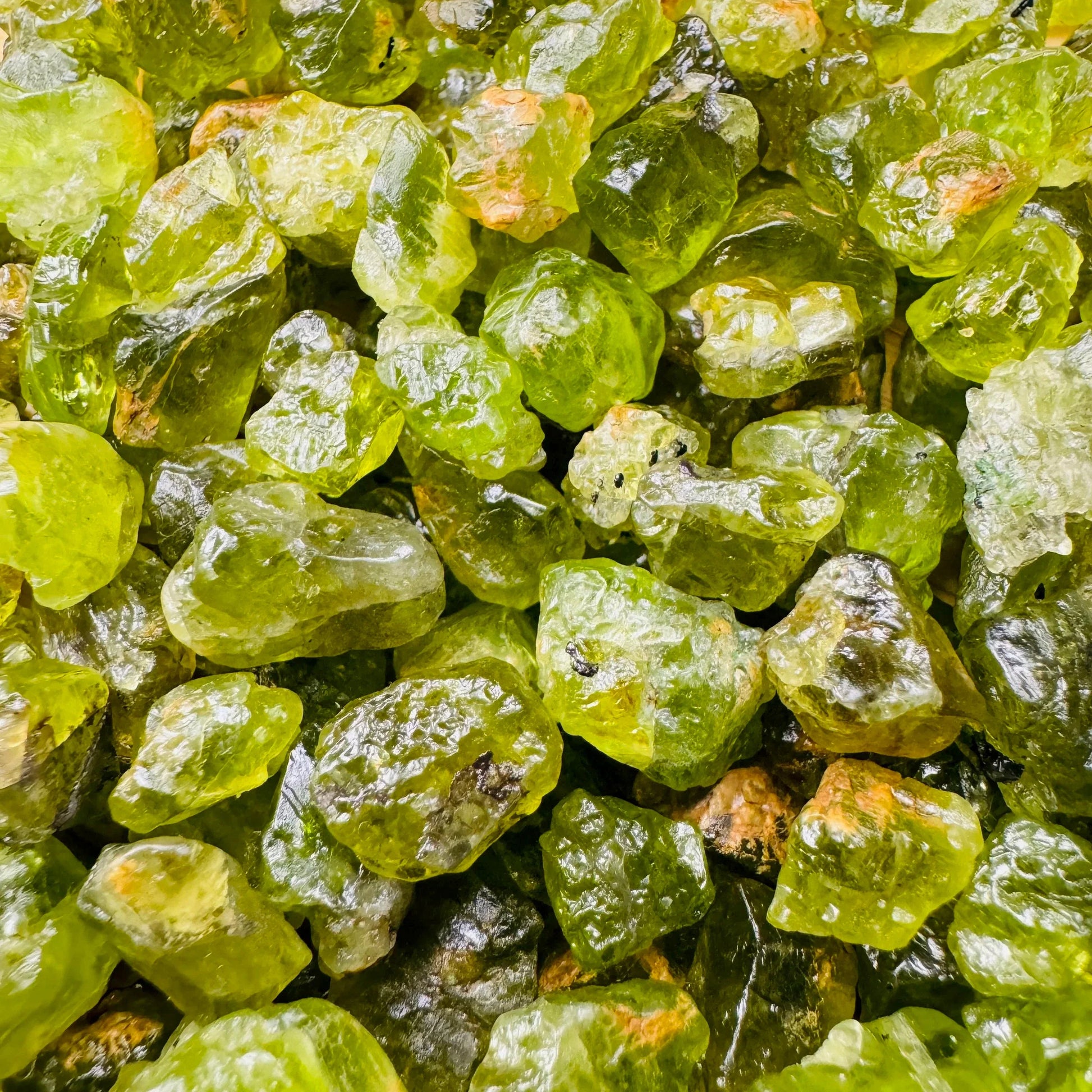 Lifestyle view of a Peridot raw stone held against natural backdrop.