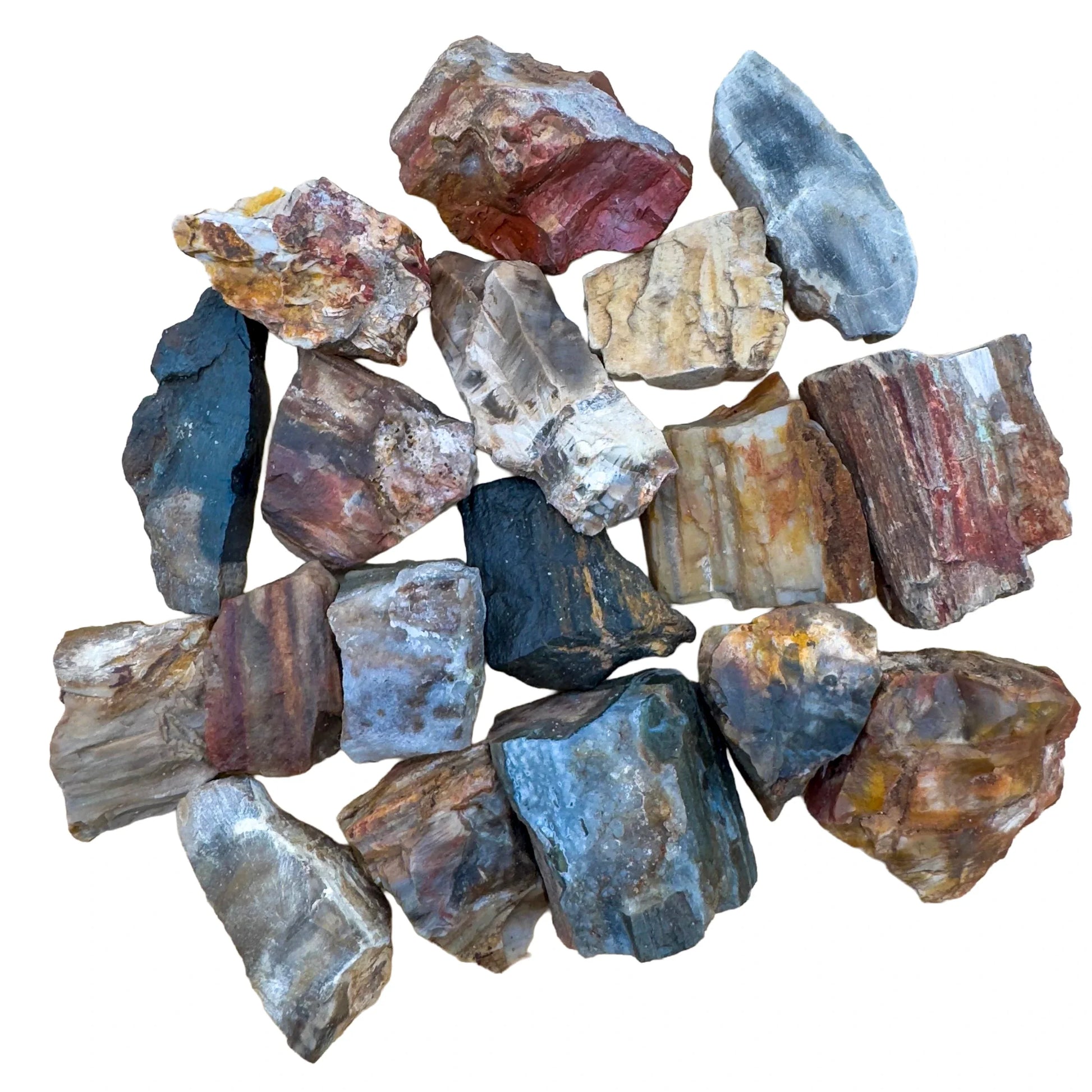 Texture-level view of Petrified Wood raw stone, showing natural form.
