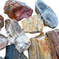 Held in hand, a Petrified Wood raw stone, sourced from Boeny, Madagascar.