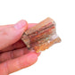 Detail shot of Grade A Petrified Wood raw under natural light