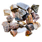 Full profile of Grade A Petrified Wood raw ready to ship from Beyond Bohemian