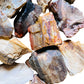 Full profile of Grade A Petrified Wood raw ready to ship from Beyond Bohemian