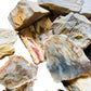 Full profile of Grade A Petrified Wood raw ready to ship from Beyond Bohemian