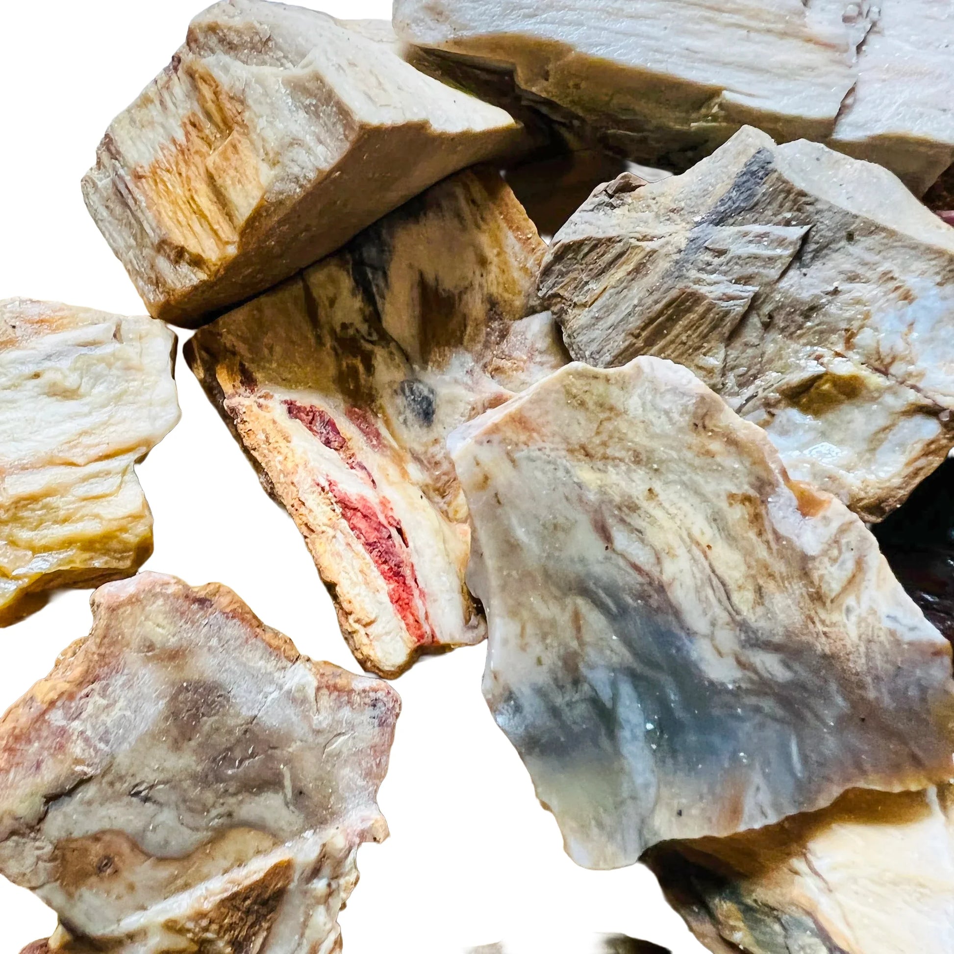Full profile of Grade A Petrified Wood raw ready to ship from Beyond Bohemian